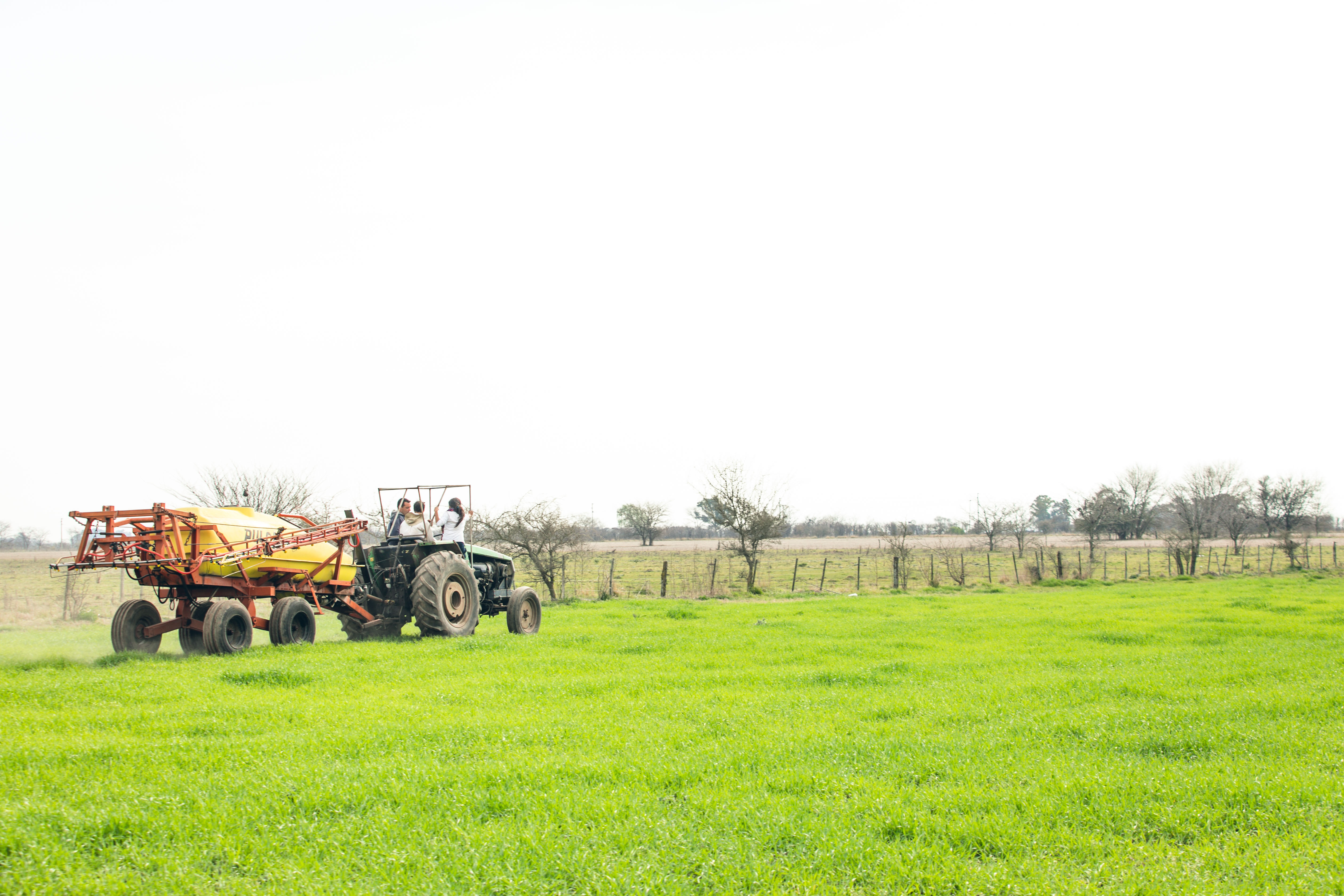Trigo siendo fertilizado