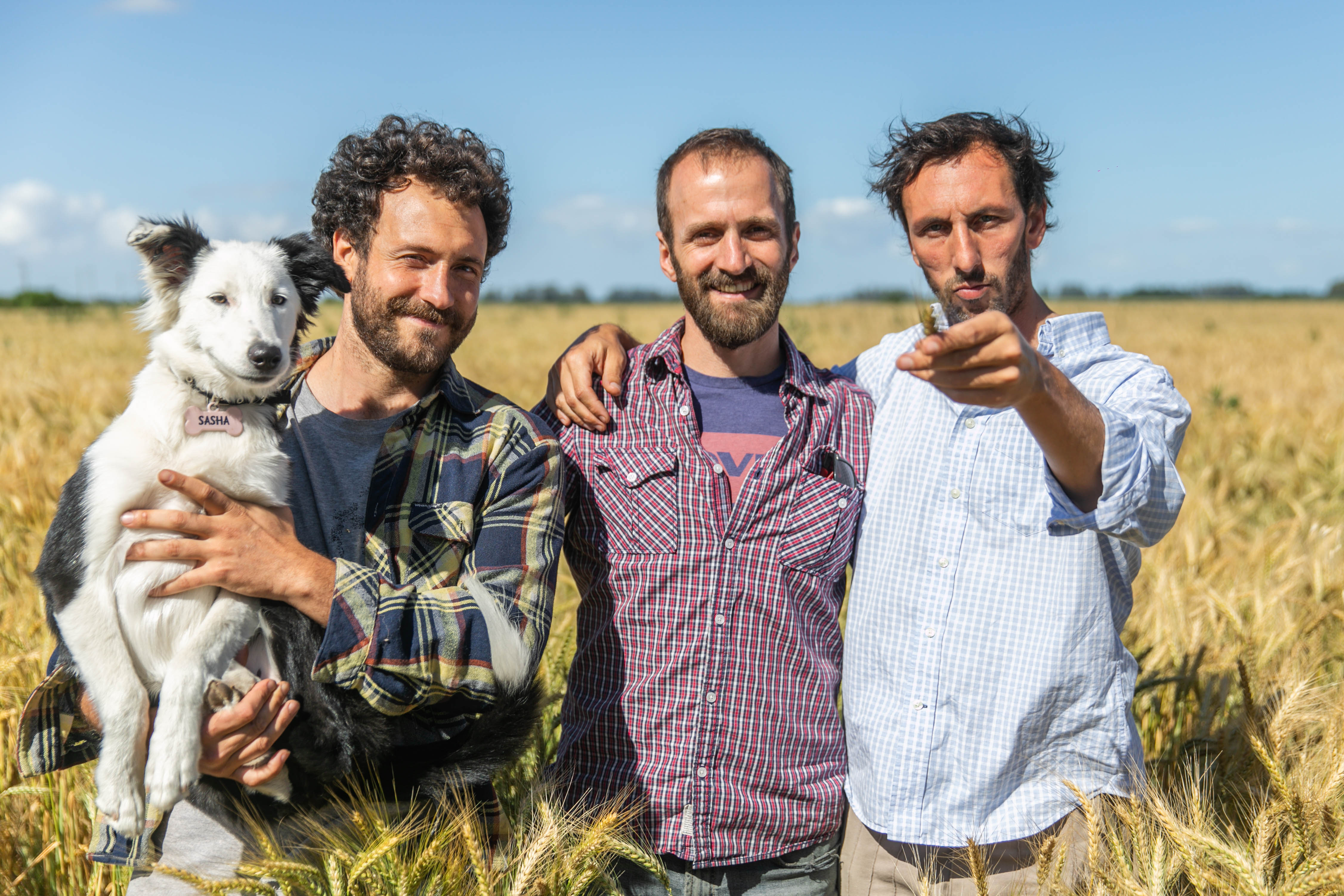 Campo de trigo Don Paisa